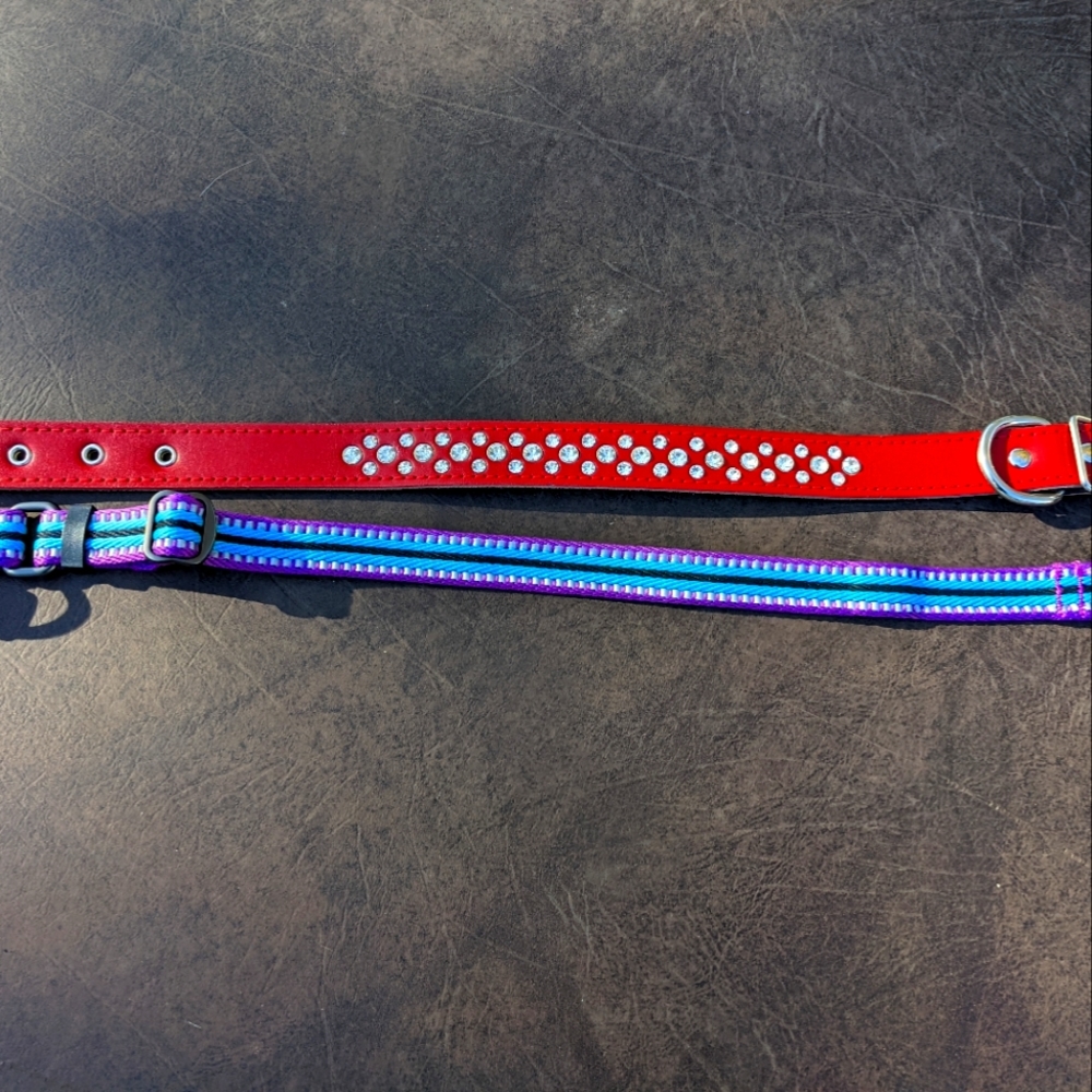 Dog Collars